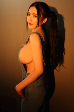 继承者
