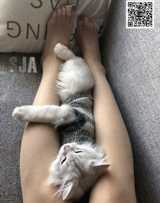 火星少女