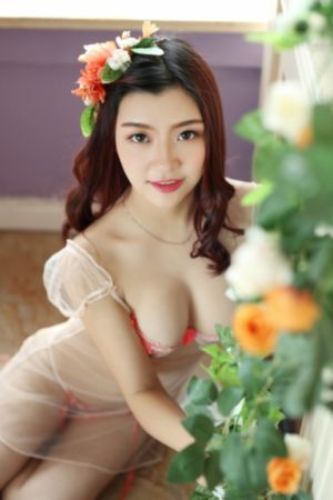 无主之花免费观看完整版电视剧